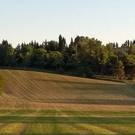 Degli Scoiattoli *